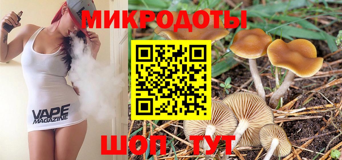 Галлюциногенные грибы Psilocybe  Вход с VPN  Кисловодск 
